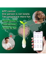 App-Control Silicone G-Spot Vibrator Dildo Kegel Ball Bullet for Women/Couples Wearable/Panty Vibrator Sex Toy Vaginal Vibrators