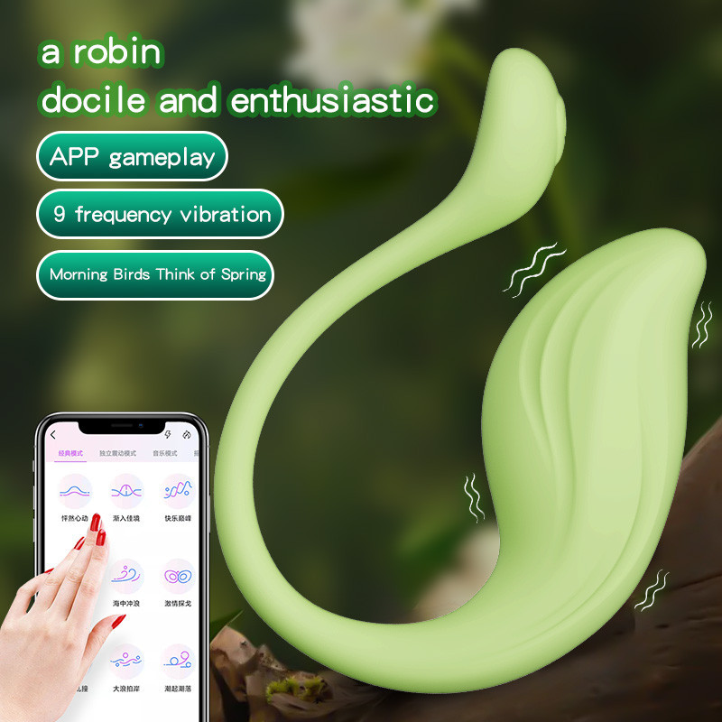 App-Control Distance Silicone Panty G-Spot Vibrator Dildo Wearable Adult Sex Toys for Women & Couples