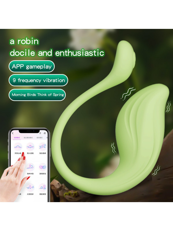 App-Control Distance Silicone Panty G-Spot Vibrator Dildo Wearable Adult Sex Toys for Women & Couples
